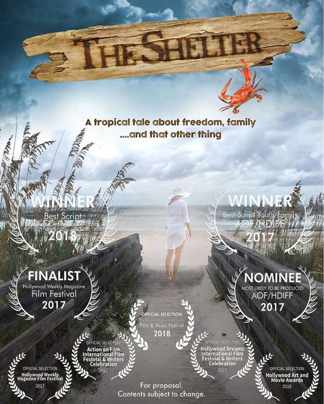 The Shelter Poster_indieactivity