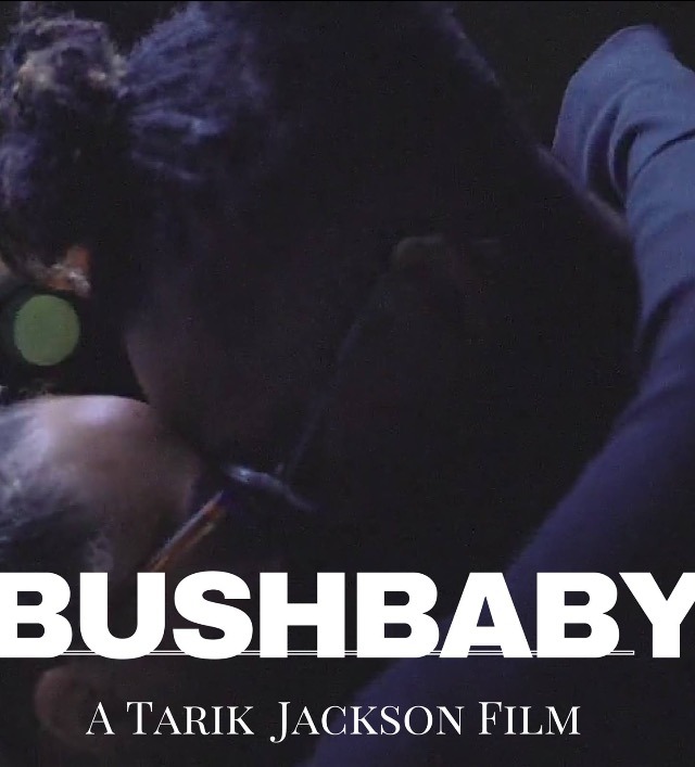 Bushbaby_Poster
