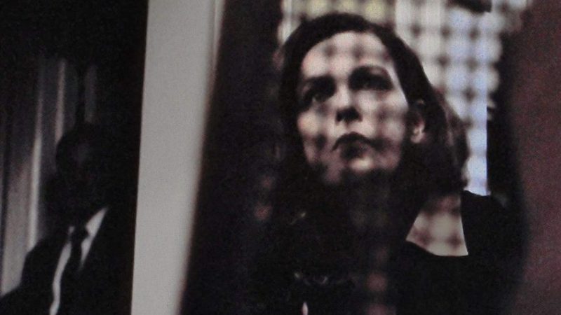 Case Study: The Making of DANNI by Jeana Reilly