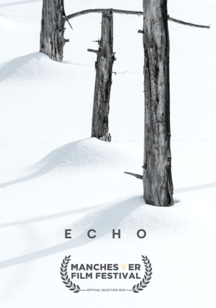 ECHO_indieactivity