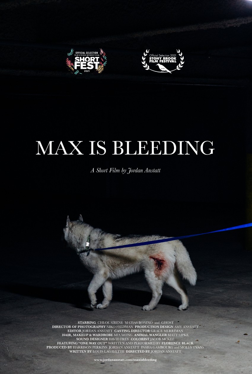 Max is Bleeding_indieactivity