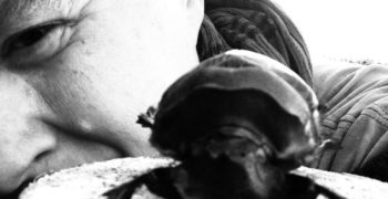 Georgina Willis’ Difficulties of Filming Insect-O-Cide Georgina Willis’ Difficulties of Filming Insect-O-Cide