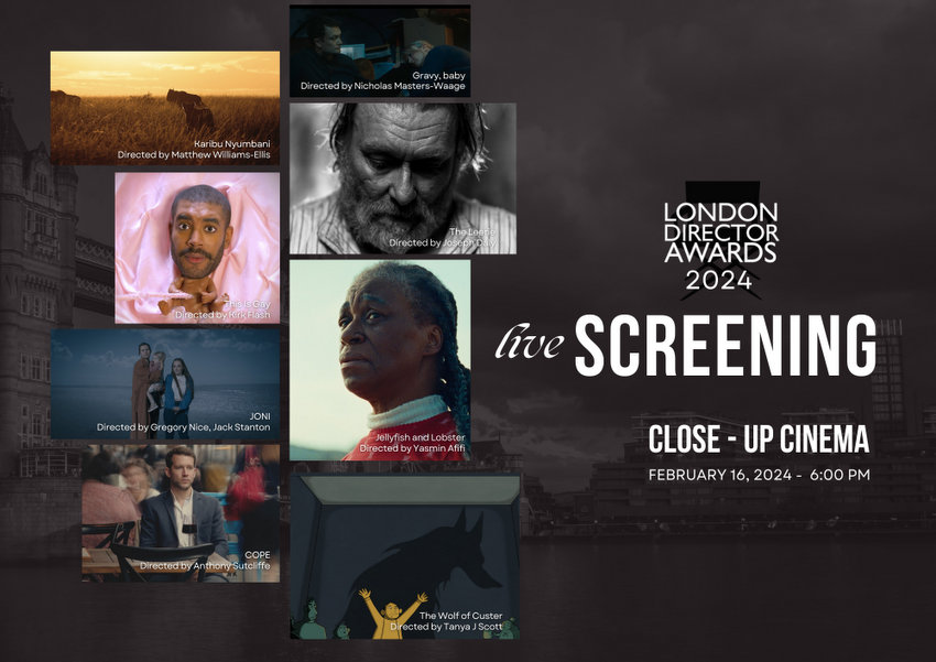 London Director Awards_indieactivity
