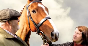 Top 5 Best Independent Horse Movies to Watch