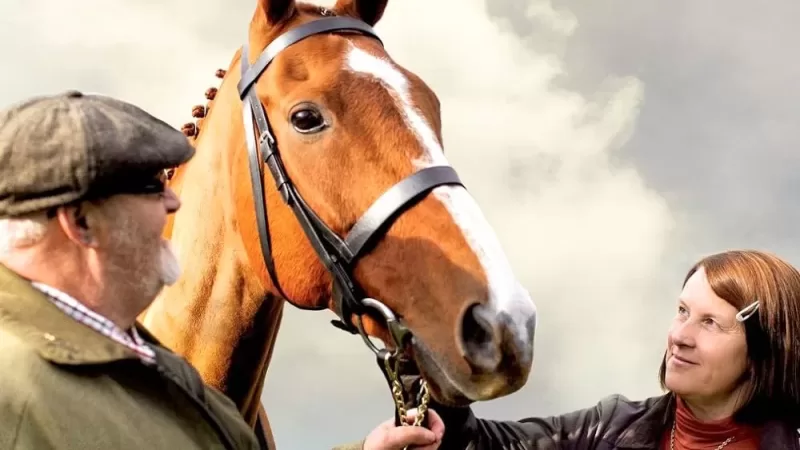 Top 5 Best Independent Horse Movies to Watch