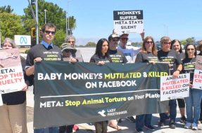 Lady Freethinker’s Explosive Documentary “Cruelty for Clicks” To World Premiere at Indiewood Film Festival September 13