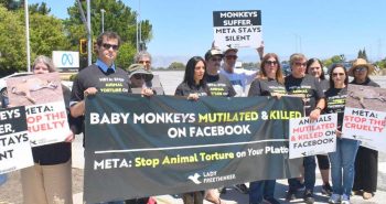 Lady Freethinker’s Explosive Documentary “Cruelty for Clicks” To World Premiere at Indiewood Film Festival September 12 Lady Freethinker’s Explosive Documentary “Cruelty for Clicks” To World Premiere at Indiewood Film Festival September 12