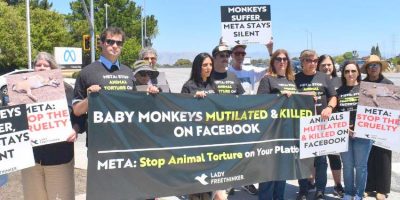 Lady Freethinker’s Explosive Documentary “Cruelty for Clicks” To World Premiere at Indiewood Film Festival September 12
