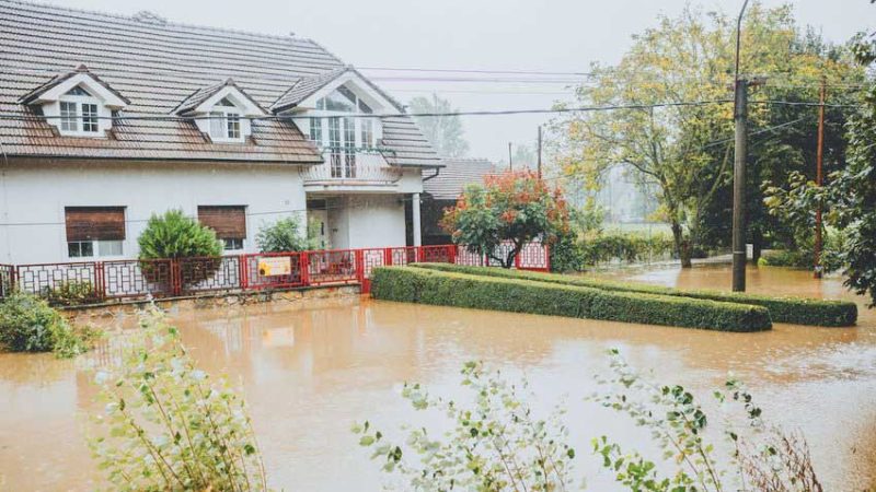 Industrial Dehumidification Protocols Used in Water Damage Restoration in North San Antonio That Eliminate Subfloor Moisture Fast
